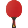Ракетка для н/т DOUBLE FISH 7A+C, для професс.,ITTF Appr.,накл.2,1мм,+ 2 мяча V40+мм ITTF Appr за 3&nbsp;559.80 ₽ купить в Грозном