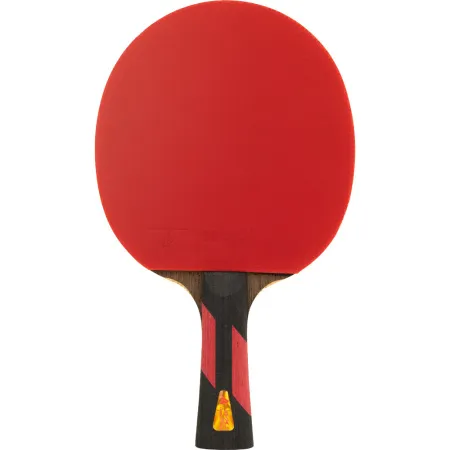 Ракетка для н/т DOUBLE FISH 7A+C, для професс.,ITTF Appr.,накл.2,1мм,+ 2 мяча V40+мм ITTF Appr за 3&nbsp;559.80 ₽ купить в Грозном