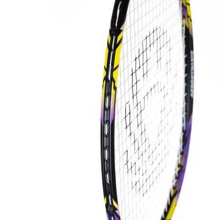 Ракетка бадм. TORRES Carbon PRO6, BD20521,для продв., стерж/обод из карбона,со струнами, фиол за 4&nbsp;477.80 ₽ купить в Грозном