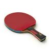 Ракетка для н/т DOUBLE FISH 7A+C, для професс.,ITTF Appr.,накл.2,1мм,+ 2 мяча V40+мм ITTF Appr за 3&nbsp;559.80 ₽ купить в Грозном