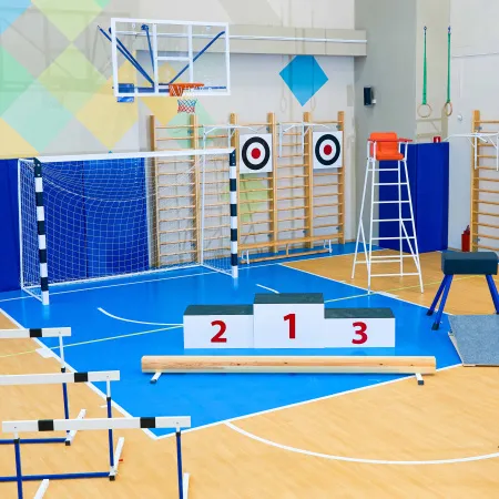 Щит для метания навесной на шведскую стенку (фанера) 700х700 ZAVODSPORTA за 8&nbsp;960 ₽ купить в Грозном