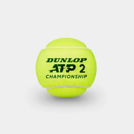 Мяч теннисный Dunlop ATP Championship 3B, 601626, уп.3ш, одобр. ITF, нат.резина,фетр. за 943.50 ₽ купить в Грозном