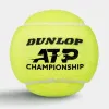 Мяч теннисный Dunlop ATP Championship 4B, 601627, уп.4ш, одобр. ITF, нат.резина,фетр. за 1&nbsp;242.70 ₽ купить в Грозном