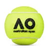 Мяч теннисный Dunlop Australian Open, 601601, уп..3 шт, одобр.ITF,фетр,нат.резина, желтый за 1&nbsp;171.30 ₽ купить в Грозном