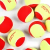 Мяч теннисный детский NS Red, 5021009, уп.12 шт, резина, шерть, нейлон, желто-красный за 2&nbsp;941 ₽ купить в Грозном