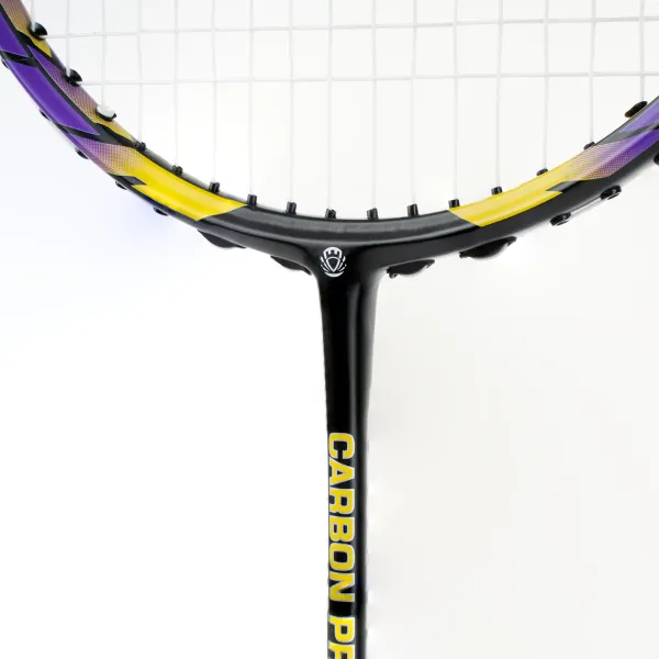 Ракетка бадм. TORRES Carbon PRO6, BD20521,для продв., стерж/обод из карбона,со струнами, фиол за 4&nbsp;477.80 ₽ в Грозном