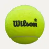 Мяч для падела Wilson Premier Padel Speed, WR8908501001, уп.3 шт, FIP Appr.,сукно, нат.резина,желтый за 1&nbsp;235.90 ₽ купить в Грозном